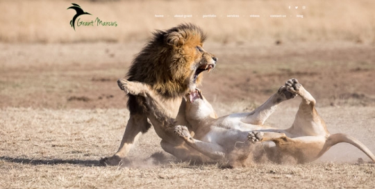 Grant Marcus Website Design