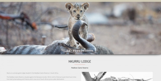 Web Design